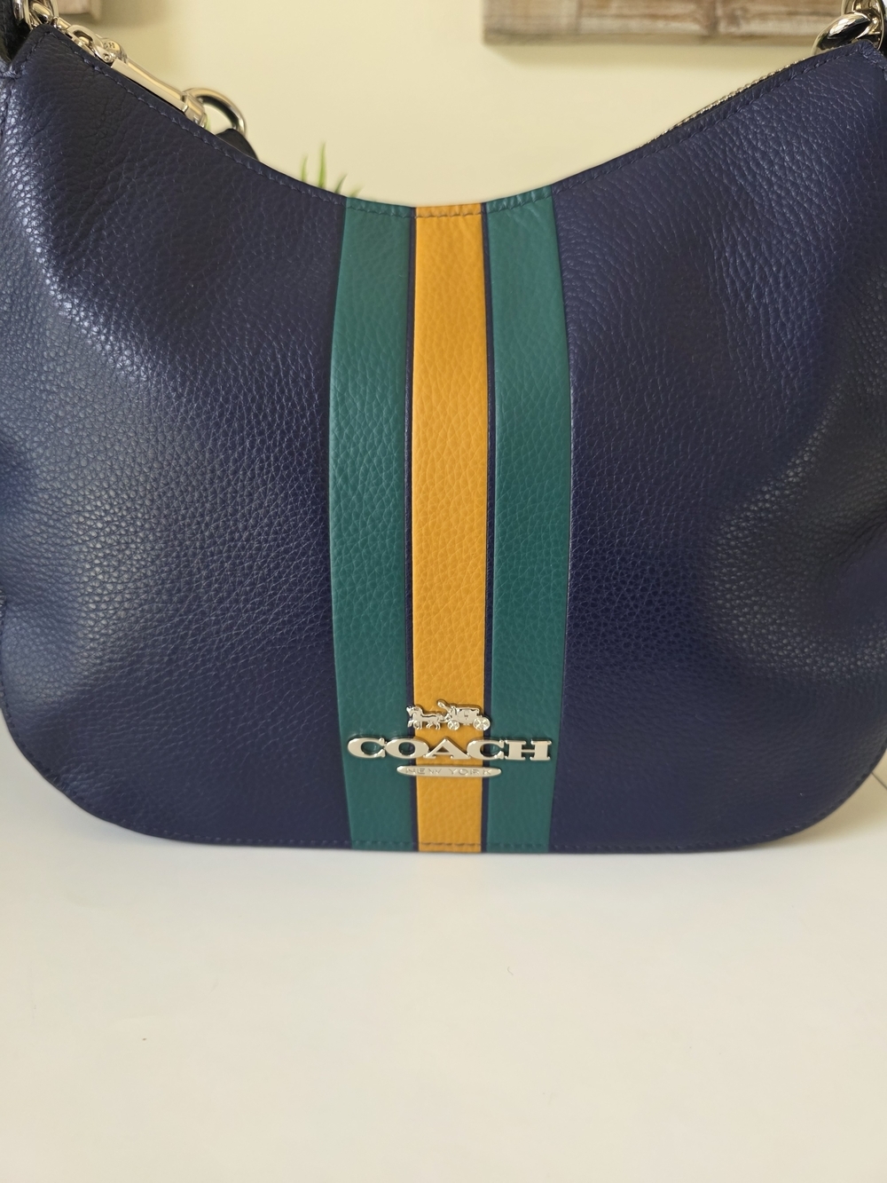 Coach Jes Hobo Cadet Multi Varsity Stripe Pebbled Leather Shoulder Bag - Picture 3 of 14